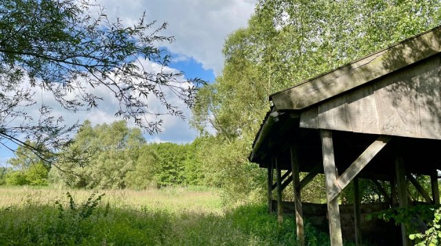 Singels en essen wandeltocht (zondag  9 juni 2024)